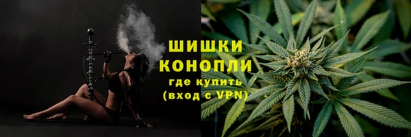 ГАЛЛЮЦИНОГЕННЫЕ ГРИБЫ Верхний Тагил