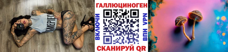 Купить  Медынь  Псилоцибиновые грибы Psilocybe 