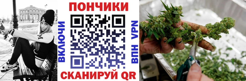 Купить где Медынь Каннабис THC 21%